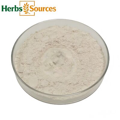 Inulin Food Sources Organic Inulin Powder (90% Purity) Chicory Root Extract for Functional ...